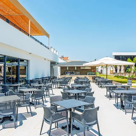 Sy Belek