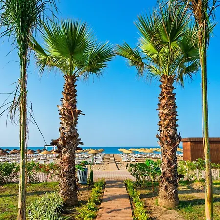 Sy Daire Belek